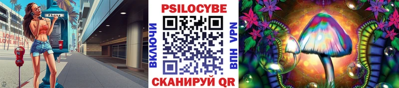 Галлюциногенные грибы Psilocybe  Лобня 